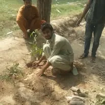 Green Seekers Activity